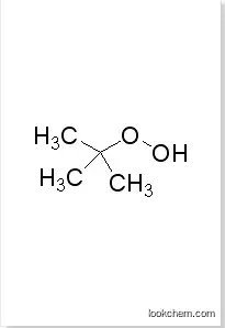 Tert-butyl hydroperoxide 75-91-2