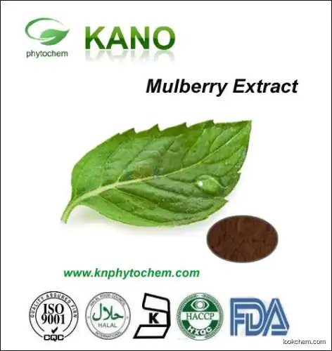 Mulberry Leaf Extract 1%DNJ Supplier