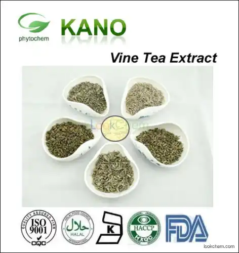 Vine Tea Extract 40%-98% Dihydromyricetin(27200-12-0)