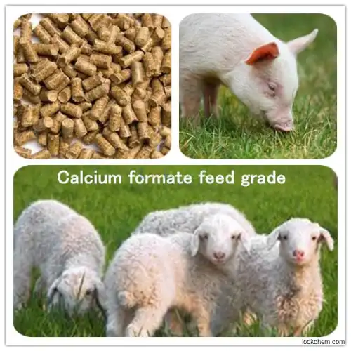 CAS No 544-17-2 High Quality Feed Grade Calcium Formate