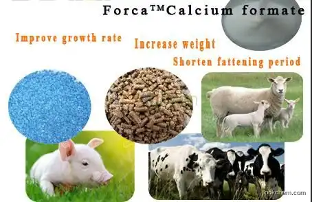 CAS No 544-17-2 High Quality Feed Grade Calcium Formate