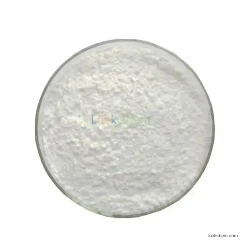 Ginkgo Biloba Extract 24%(464-92-6)