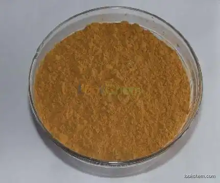 Rutin Sophora Japonica Extract 95%