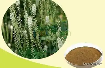 Manufacturer supply black cohosh extracts