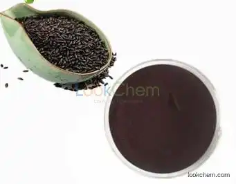 Manufacturer supply black rice extracts