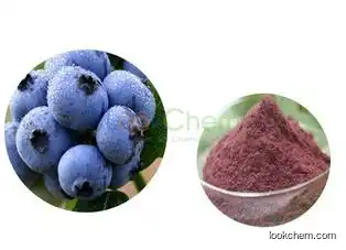 GMP certified manufacturer offer bilberry extract/whortleberry extracts