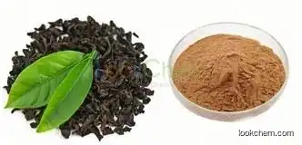 ISO,GMP certified manufacturer supply black Tea Extract