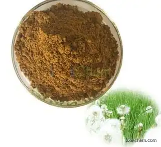 Dandelion extracts