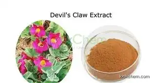 Devil’s Claw extracts