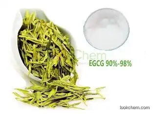 Hot sale green tea extracts