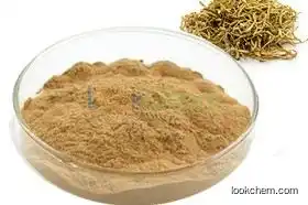 Manufacturer supply Honeysuckle extracts