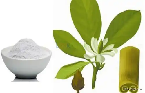 Magnolia Officinalis extracts