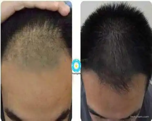 Hair care copper tripeptide-3 AHK-Cu 682809-81-0