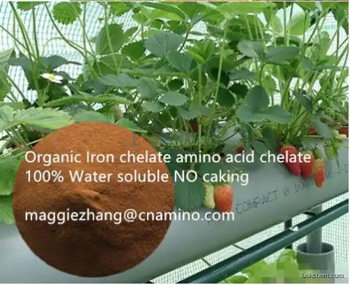 Plant Source Amino Acid Chelate Iron 100% Water Soluble()