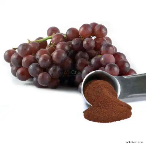 GMP Factory price Supply 100% natural Water Soluble Grape Seed Extract (High Orac Value) 95% Poanthocyanidine OPC