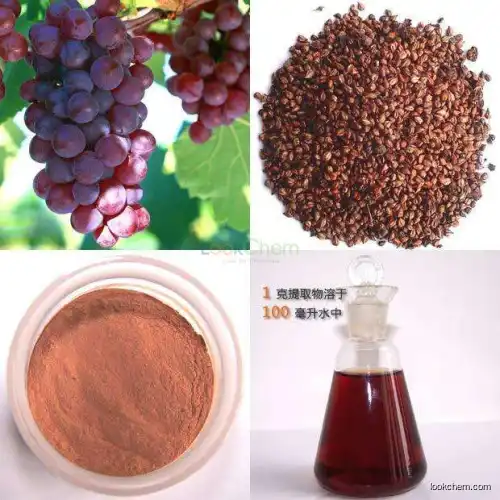 GMP Factory price Supply 100% natural Water Soluble Grape Seed Extract (High Orac Value) 95% Poanthocyanidine OPC