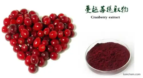 GMP factory 100% Natural Cranberry Extract 5%-40% Proanthocyanidins