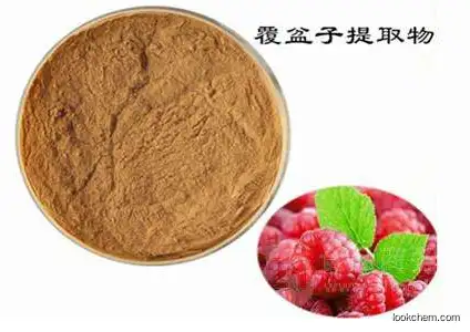 China supplier Raspberry extract powder Raspberry ketone for beverage and food