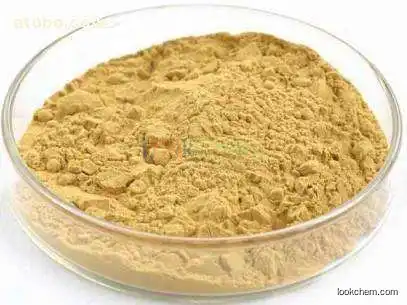 High quality andrographis paniculata extract HPLC 98% Andrographolide