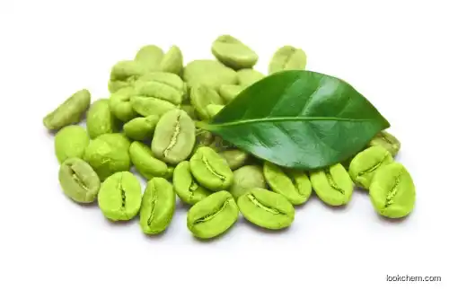 Halal GMP green coffee bean extract powder in stock
