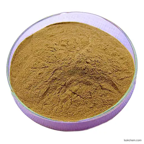 Halal GMP green coffee bean extract powder in stock