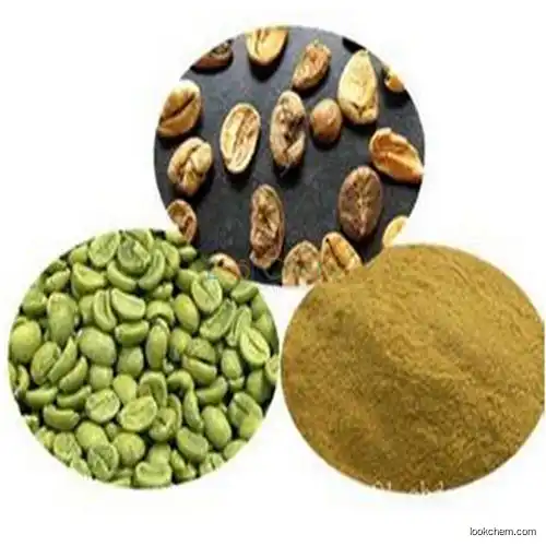 Halal GMP green coffee bean extract powder in stock