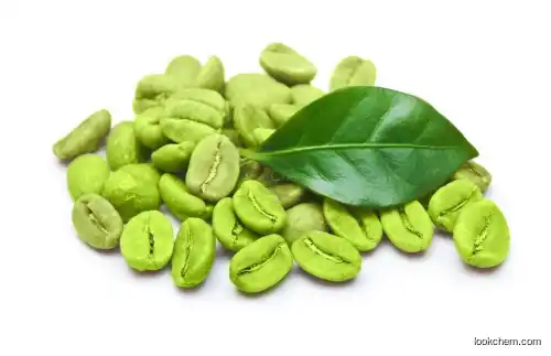 Pure natural Antibacterial Anti-oxidant Green Coffee Bean Extract powder