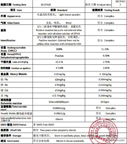 Manufacturer supply Pure 99% Andrographolide Andrographis Paniculata Extract Andrographis Paniculata P.E.