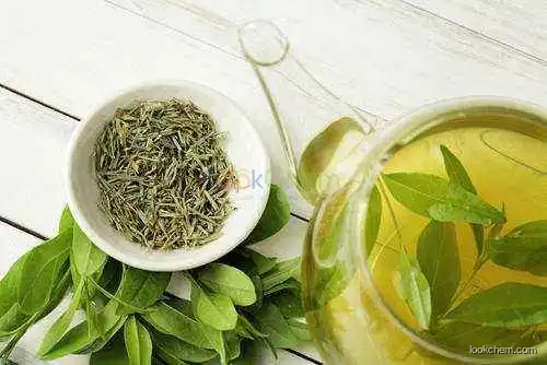Manufacturer Wholesale price organic green tea extract 98% Polyphenols 98% EGCG 80% Catechins