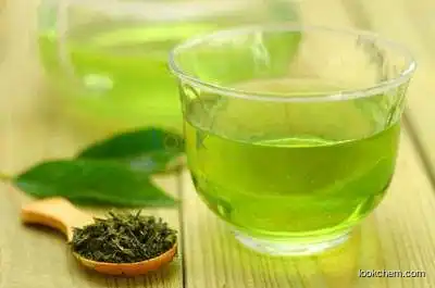 2018 China Top quality Green tea extract EGCG 50% 90% 95% 98% Lose weight