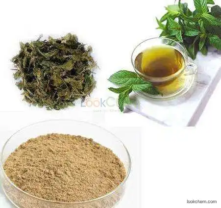 GMP Manufacture Halal supplier green tea extract 20% 30% 40% 98% Polyphenols