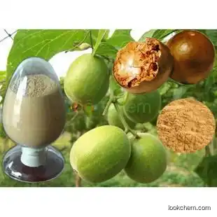 GMP Manufacture 100% Natural Monk Fruit Extract / Luo Han Guo Extract for Healing Sore Throat