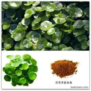 Halal Factory Supply high quality Centella Asiatica Extract Asiatic Acid