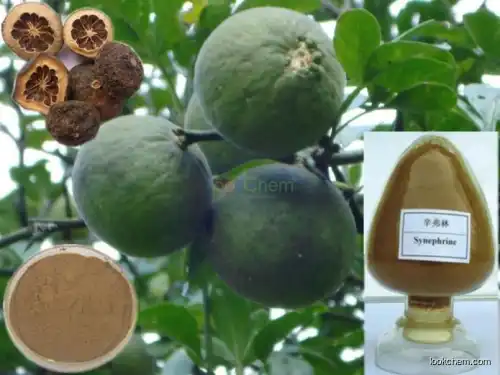 GMP factory natural Citrus Aurantium Extract / Bitter Orange extract (Seville Orange extract)