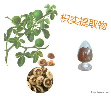 China supply natural Citrus Aurantium Extract 95% Diosmin