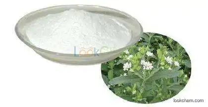 Chinese factory Natural sweetener Stevia wholesale,Stevia extract in bulk/99% Rebaudioside A, Stevioside(57817-89-7)