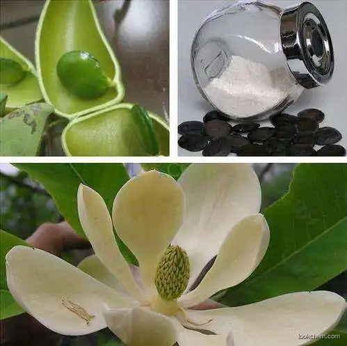 High quality Plant extract natural griffonia seed extract 5-HTP in stock