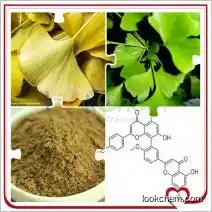 high quality Folium Ginkgo Leaf extract/ Gingko biloba Leaf P.E /Ginkgo Biloba Powder