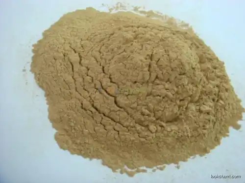 nutritional supplements Ginko flavones Terpenlactone Ginkgo biloba leaves Extract