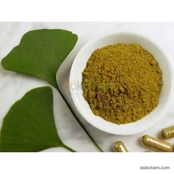 high quality Folium Ginkgo Leaf extract/ Gingko biloba Leaf P.E /Ginkgo Biloba Powder