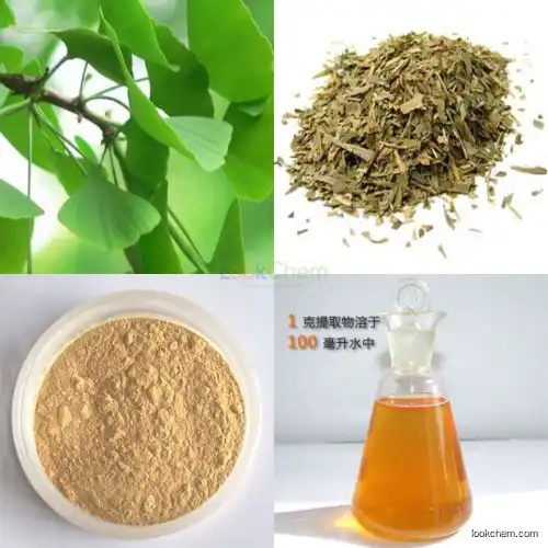 GMP factory price Water soluble ginkgo biloba leaf extract powder