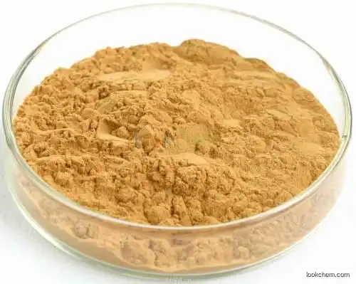 GMP factory price Water soluble ginkgo biloba leaf extract powder