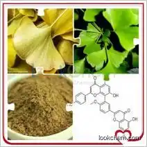 China factory 100% herbal Ginko flavones Terpenlactone Ginkgo biloba leaves Extract