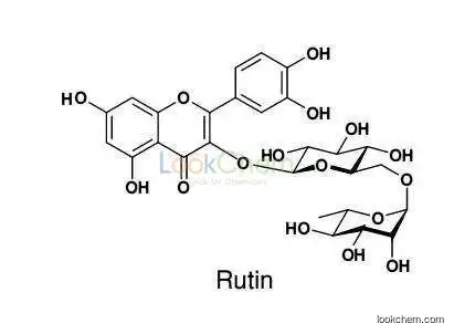China Rutin manufacturer /rutin price / sophora japonica extract rutin supplement