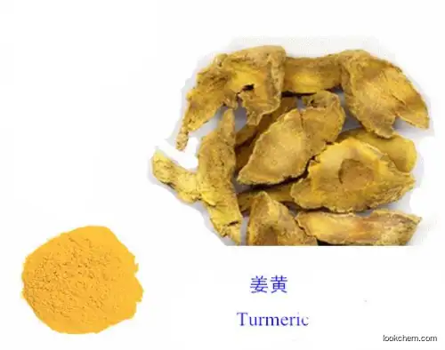 GMP factory price Supply pure nano curcumin extract / turmeric curcumin 95%
