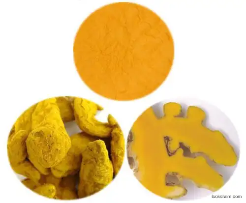 GMP factory price Quality Nano Curcumin powder From Recedar Hot Sales