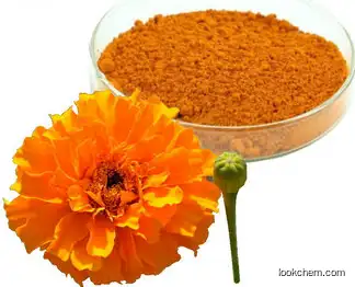 GMP High Purity marigold extract Lutein and Zeaxanthin Powder UV/HPLC 5%-90%