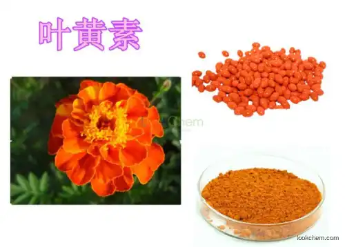 2018 China factory Best Selling Eyes Care Natural Lutein Price powder