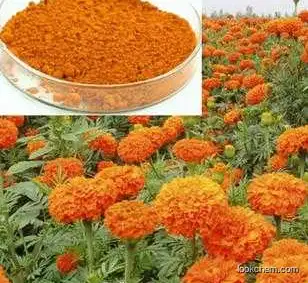 HACCP & Kosher factory Supply lutein and zeaxanthin of marigold extract,8%/50%/98% by HPLC