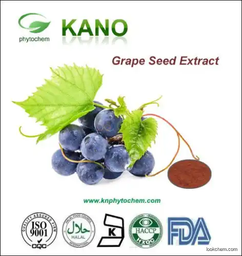 Grape seed Extract 95% Proanthocyanidins OPC